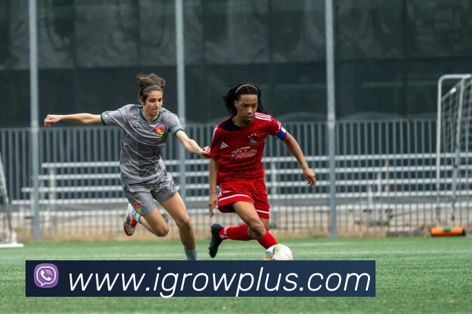 云开体育app官网入口登录网页版平台生态图