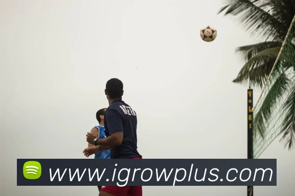 云开体育app官网入口登录网页版全站App